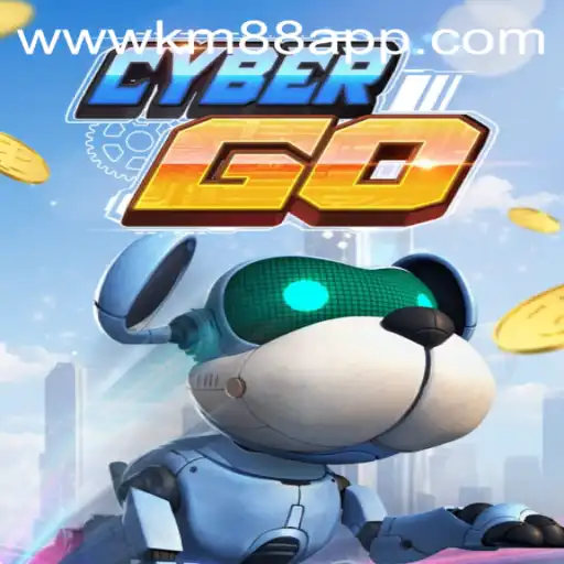 Discovering the World of CyberGO